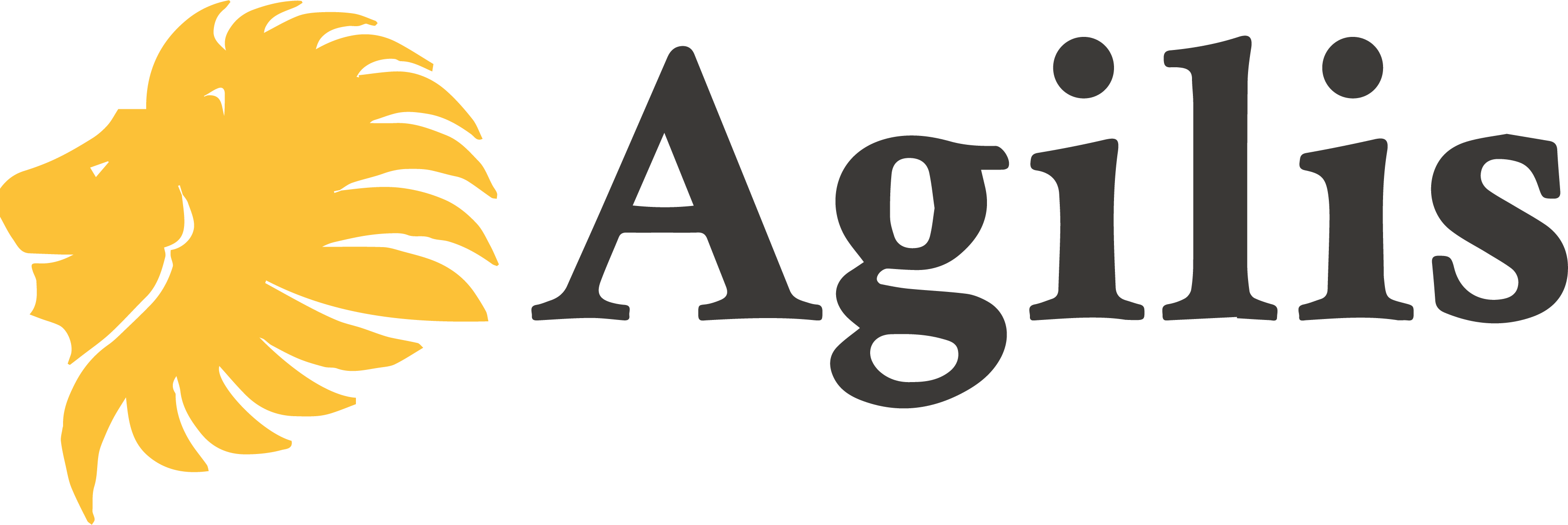 Agilis Ltd